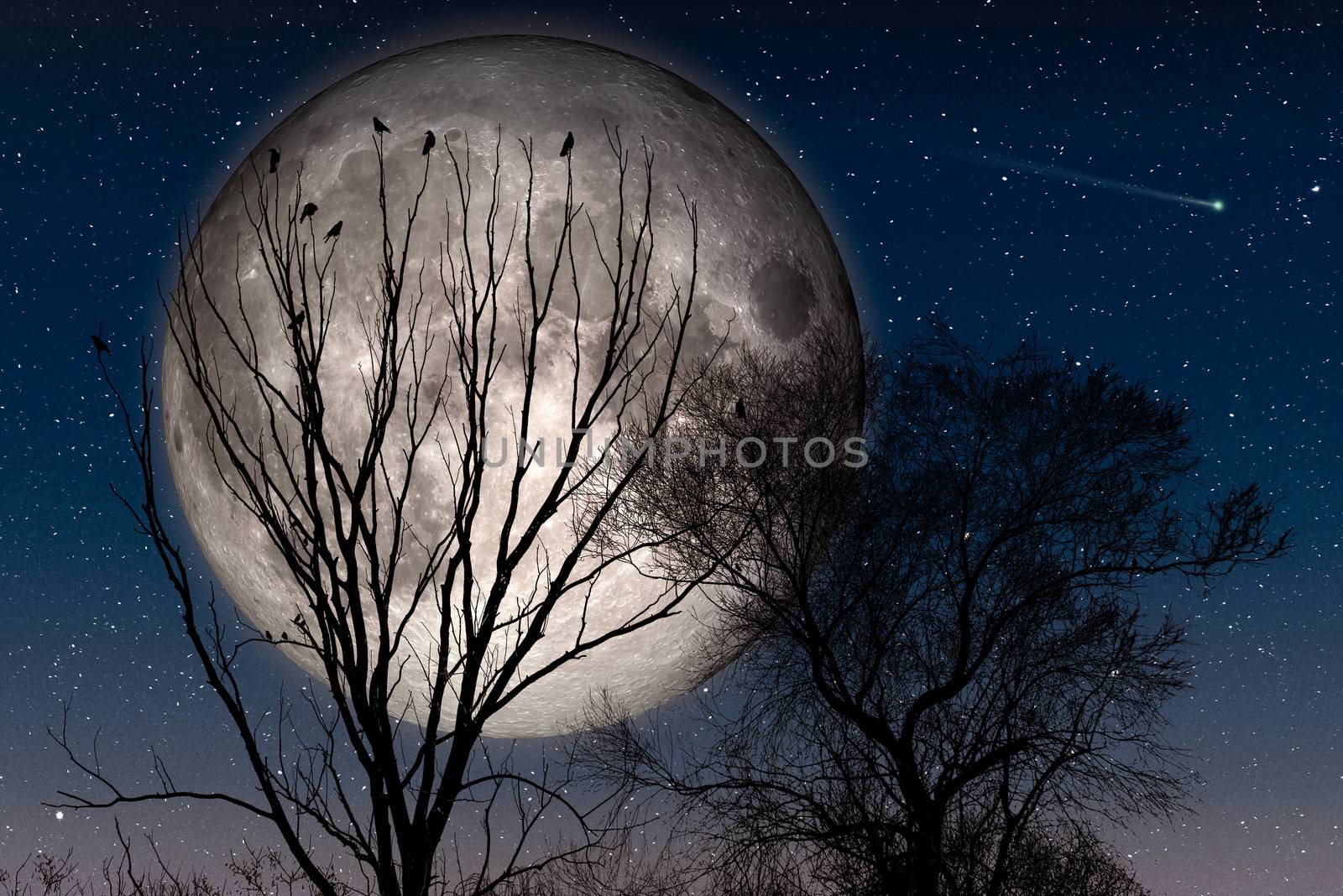 Crows perched on the top of tree branches are waiting to take flight during the night with a big Moon and a starry sky with a comet. Elements of this image furnished by NASA