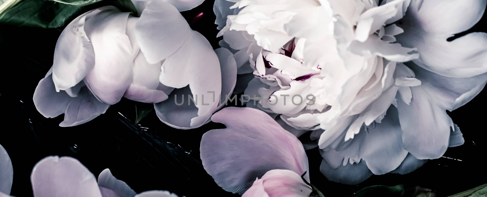 Pastel peony flowers as floral art background, botanical flatlay and luxury branding by Anneleven