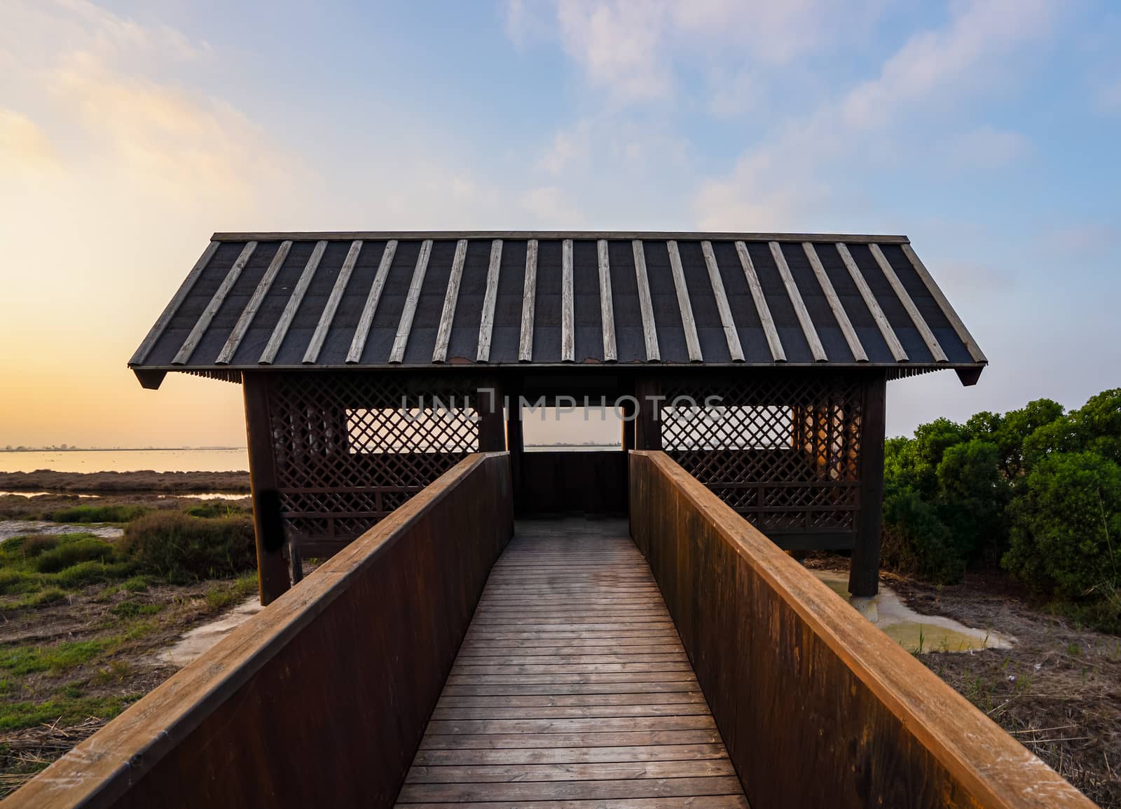 Wooden cabin for bird watching in the Ebro river delta, Spain by tanaonte