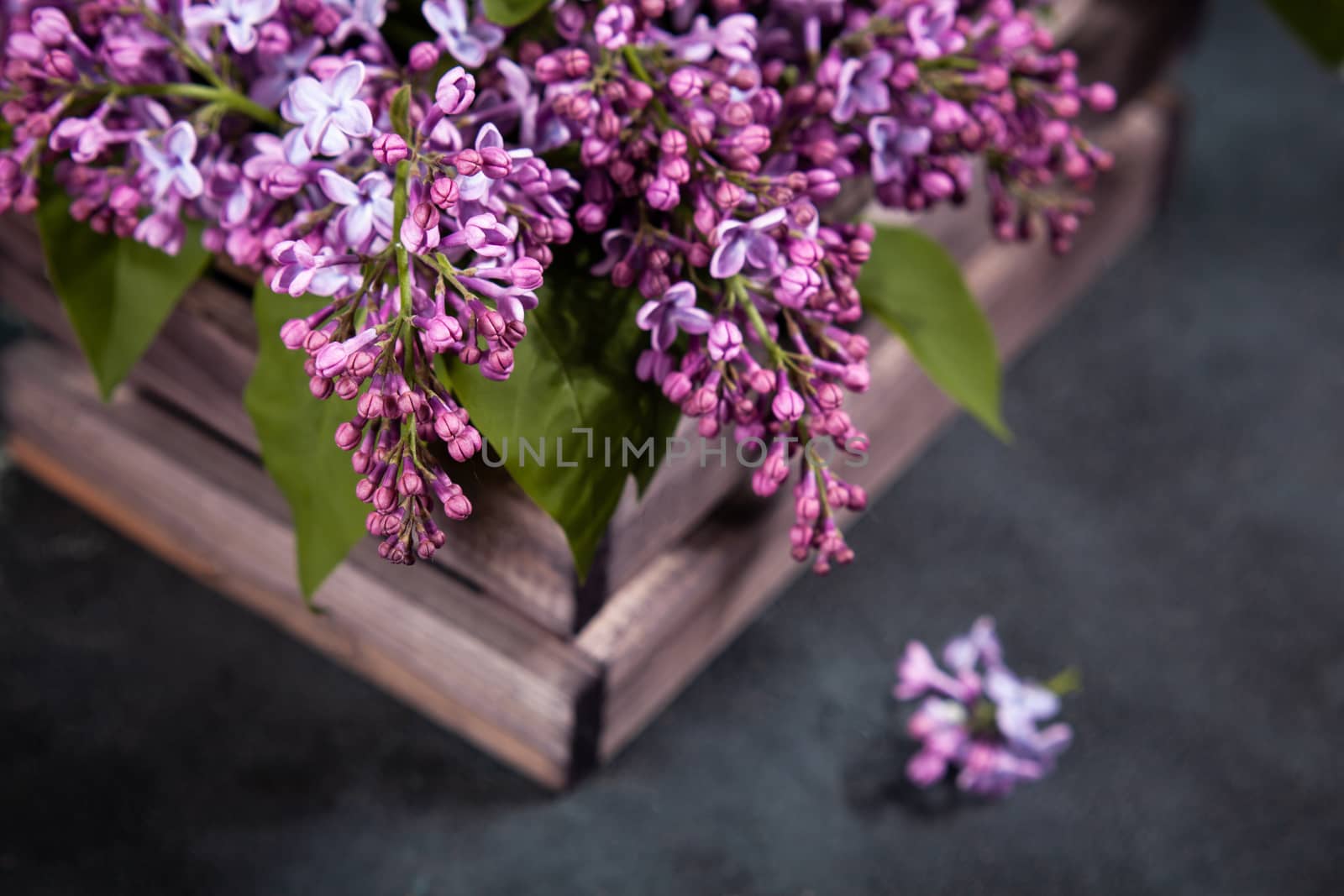 Purple lilac flowers bouquet on wooden box on black concrete background. Stylish floral greeting card. Happy mothers day.