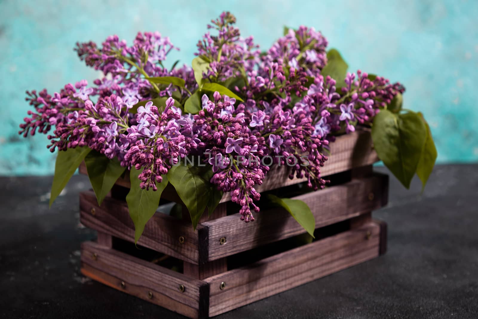 Purple lilac flowers bouquet on wooden box on black concrete background. Stylish floral greeting card. Happy mothers day.