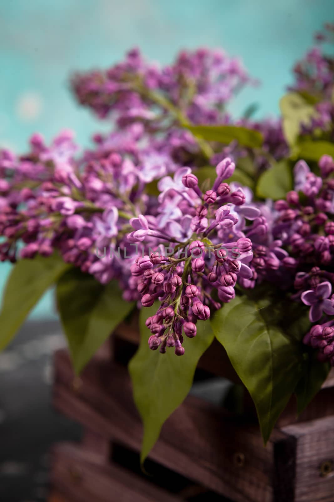 Purple lilac flowers bouquet on wooden box on black concrete background. Stylish floral greeting card. Happy mothers day.