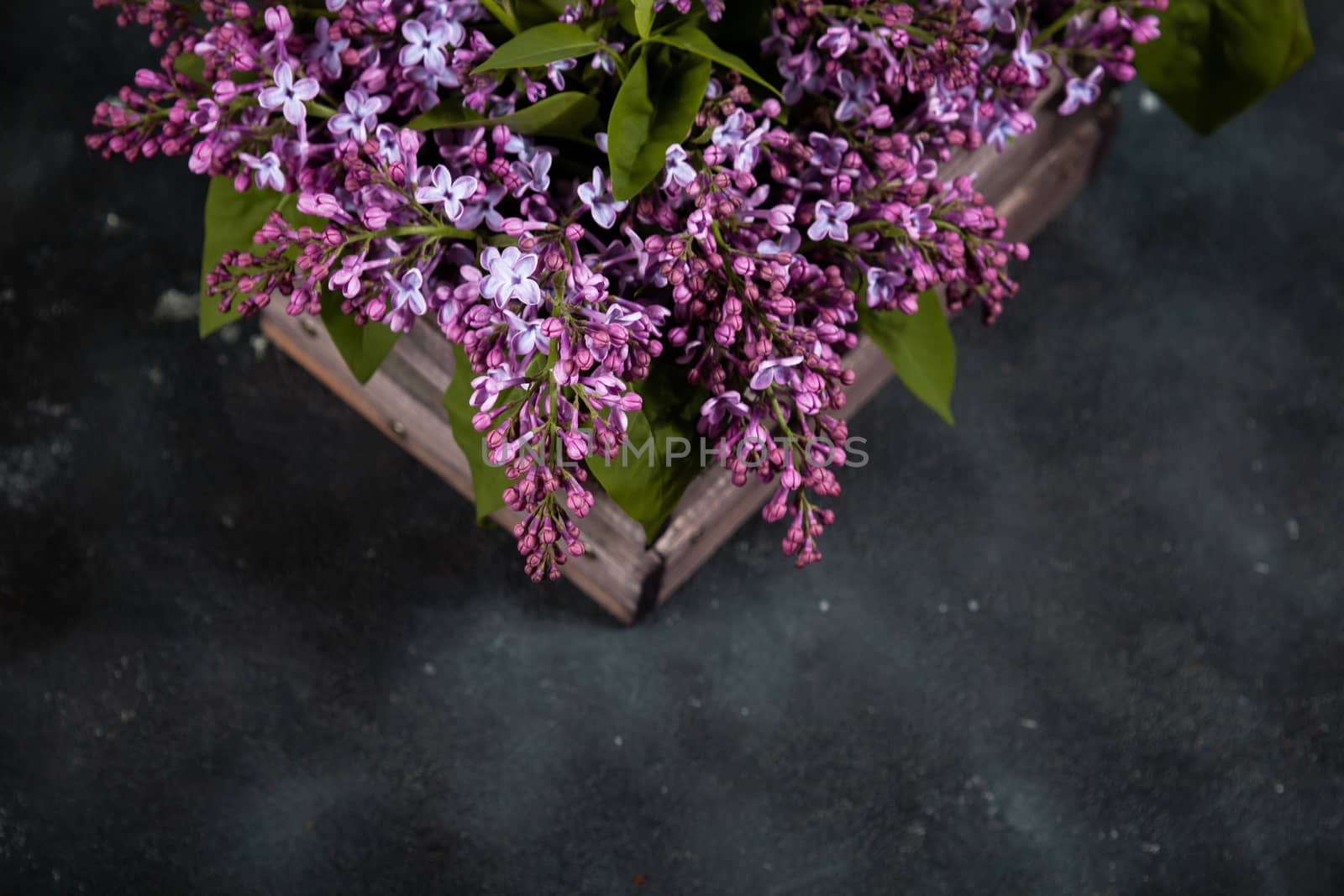 Purple lilac flowers bouquet on wooden box on black concrete background. Stylish floral greeting card. Happy mothers day.