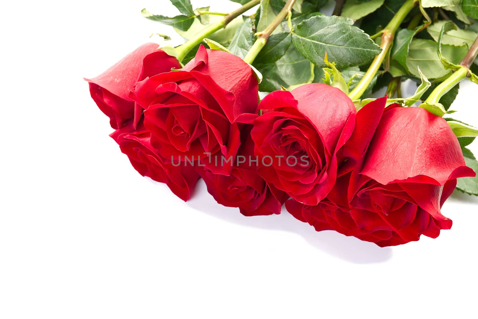 red rose bouquet isolated on white background.