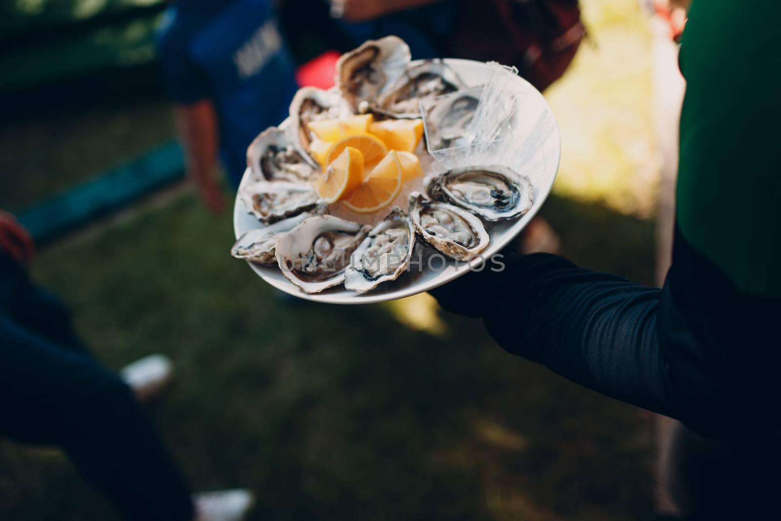 The waiter serves oysters with lemons on a platter. Catering concept.
