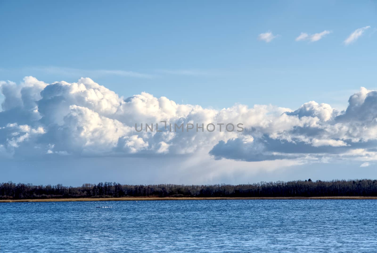 blue sky and big clouds on the sky. A lake with a forest on the horizon and a cloudy sky. summer day at the lake. Maardu, Estonia.