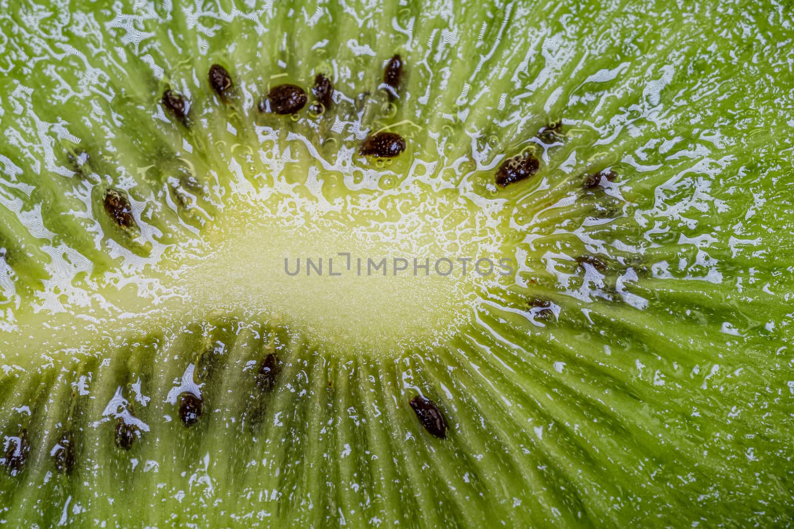 Macro shot of a kiwi slice. Healthy food by tanaonte