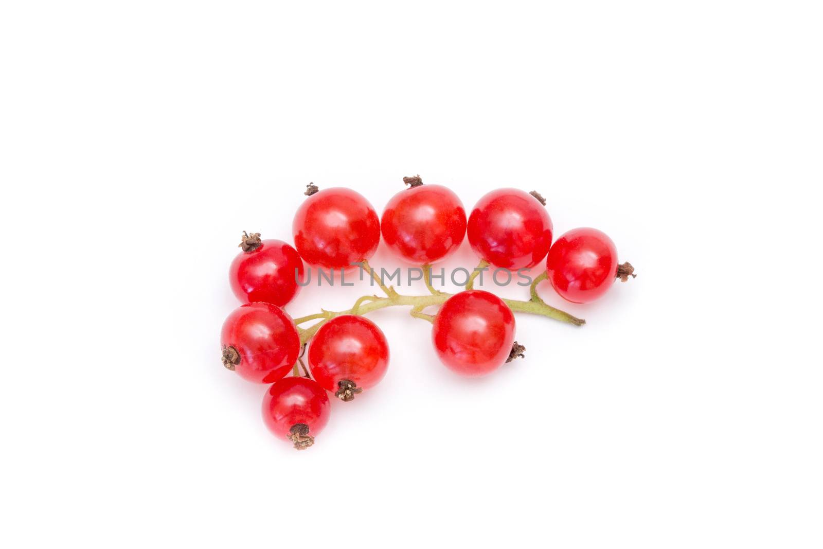 Red currant closeup isolated on white background
