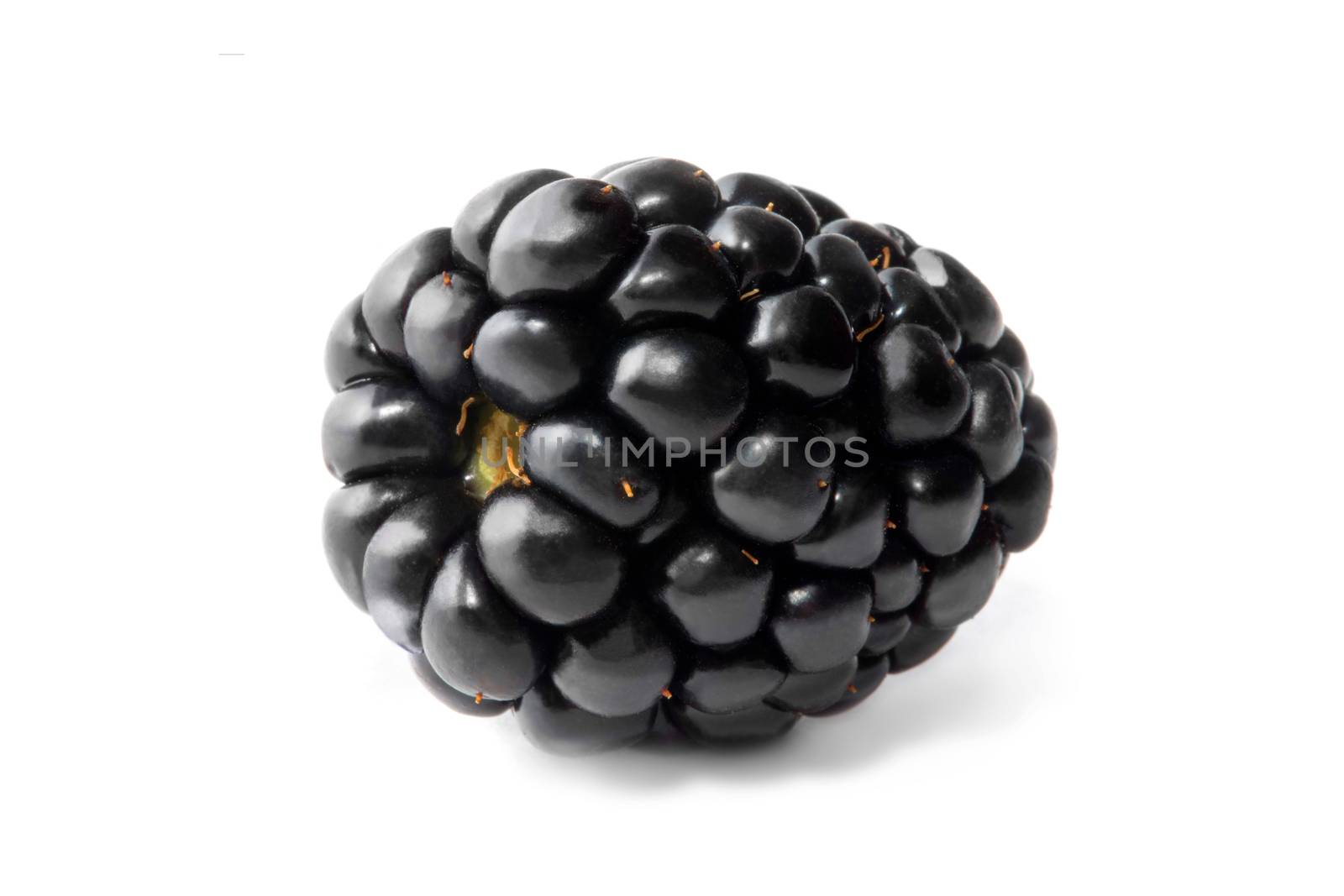 Blackberry isolated on white background