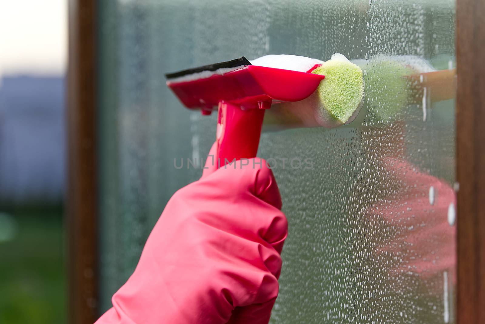 window cleaning. A woman in pink rubber gloves washes a window in a house. Happy Woman In Gloves Cleaning Window. Concept for home cleaning services by PhotoTime