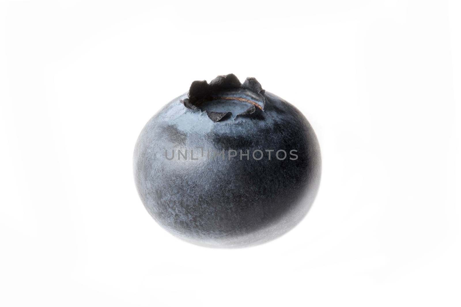 Blueberry isolated on white background by primipil