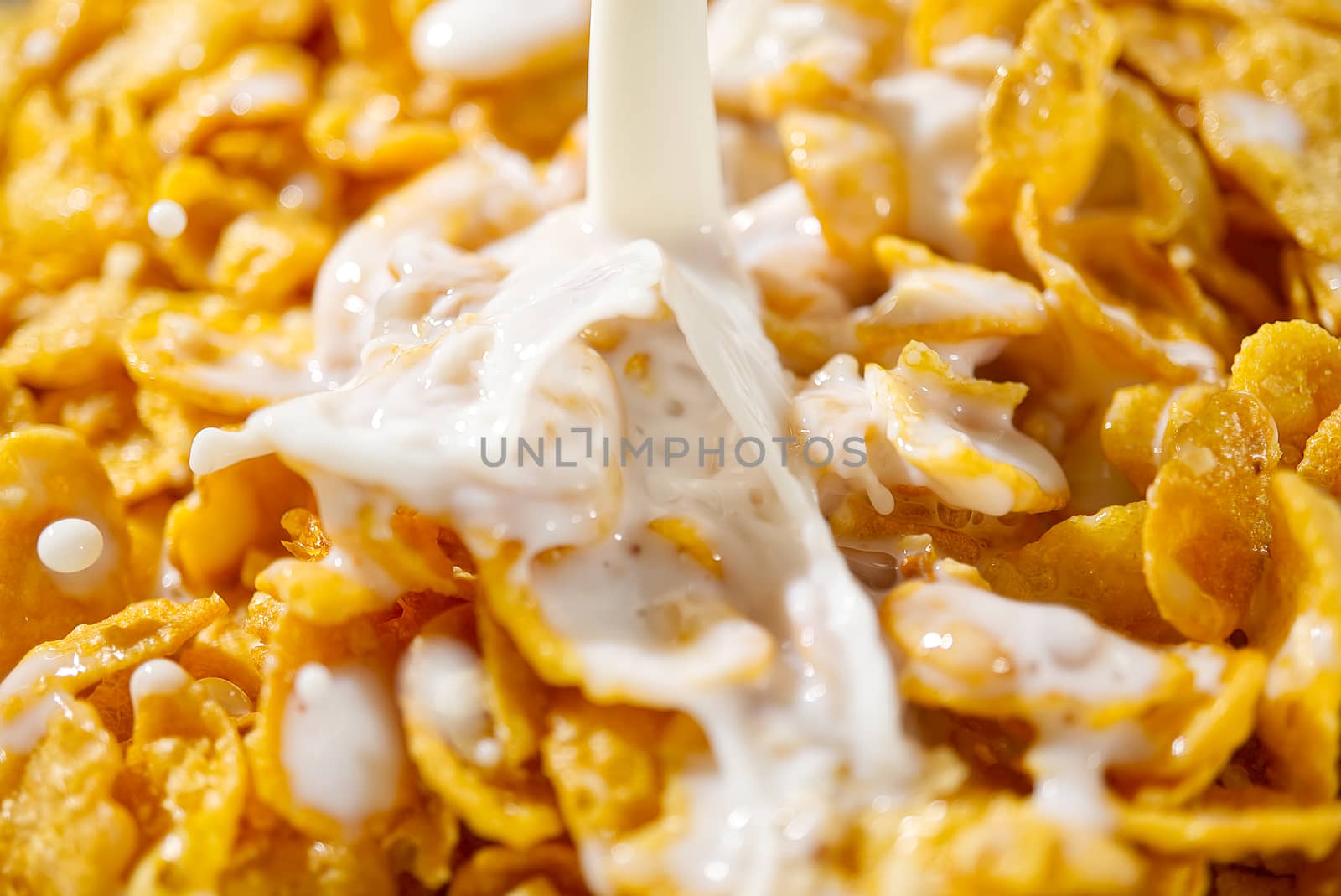 pouring milk into cornflakes close up. soft focus. cornflakes and milk, breakfast concept by PhotoTime