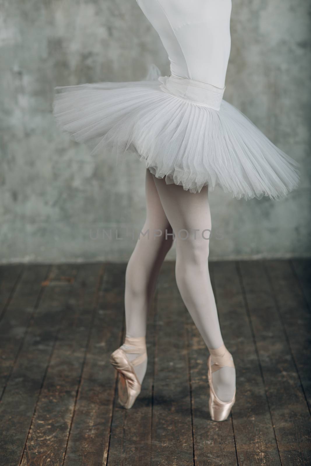 Ballet in beautiful style. Modern ballet. Ballet dancer. by primipil