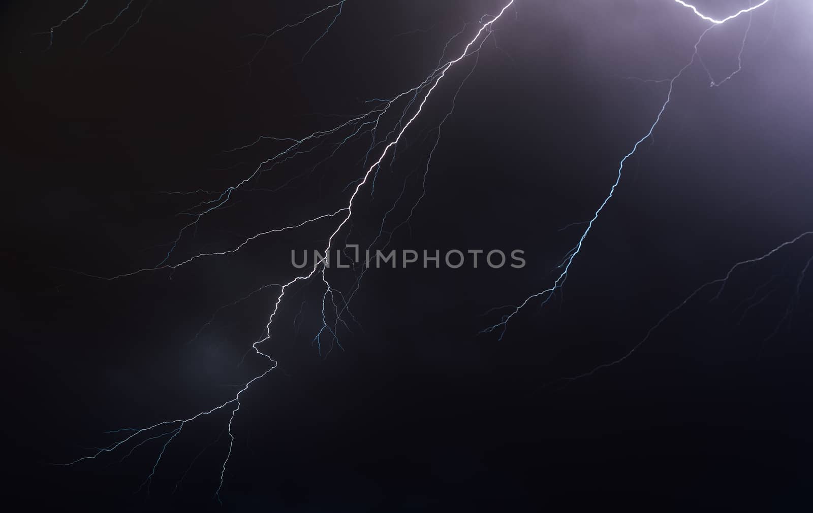 Night sky illuminated by lightning bolts