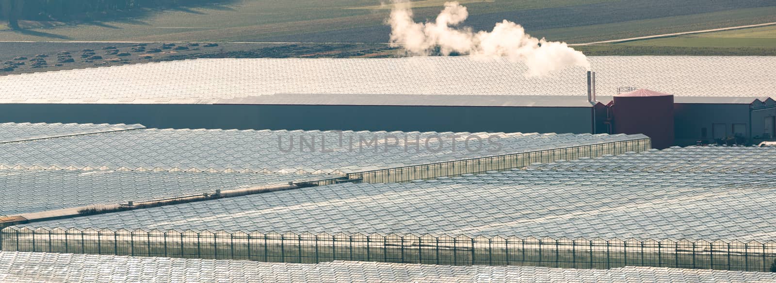 Aerial view of a large agricultural greenhouse compound.