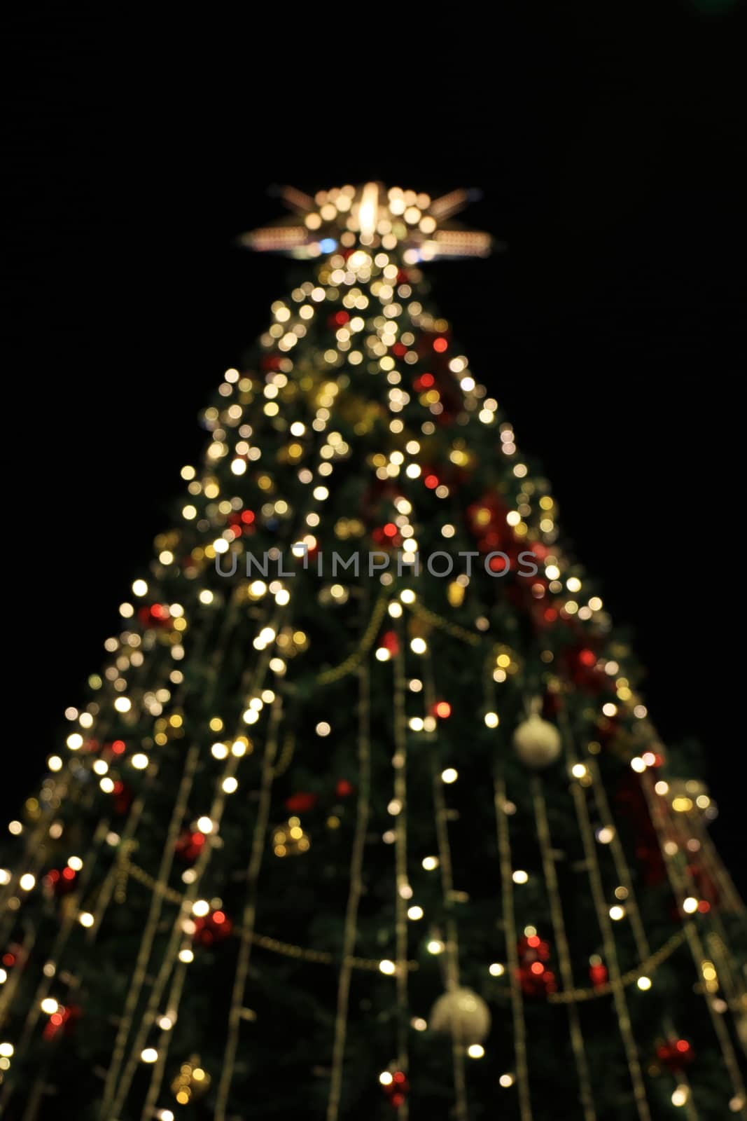 Blurred Christmas tree decoration background with night lights, Christmas holiday celebration, Christmas trees, a new European winter