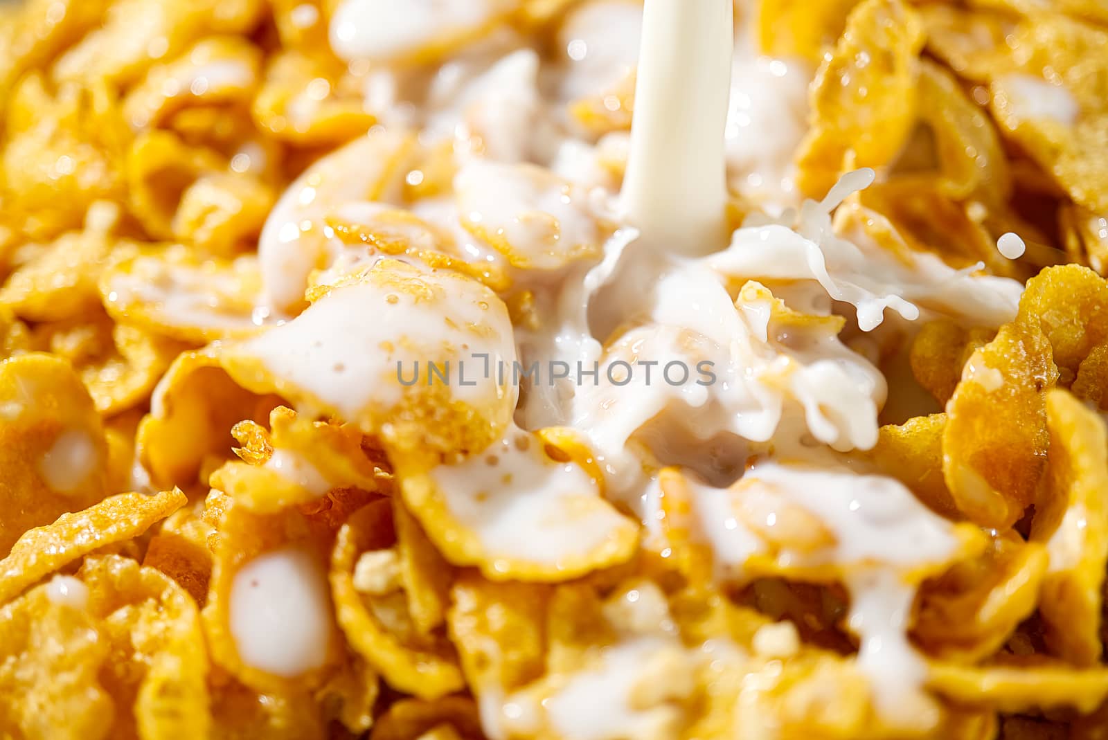 pouring milk into cornflakes close up. soft focus. cornflakes and milk, breakfast concept.