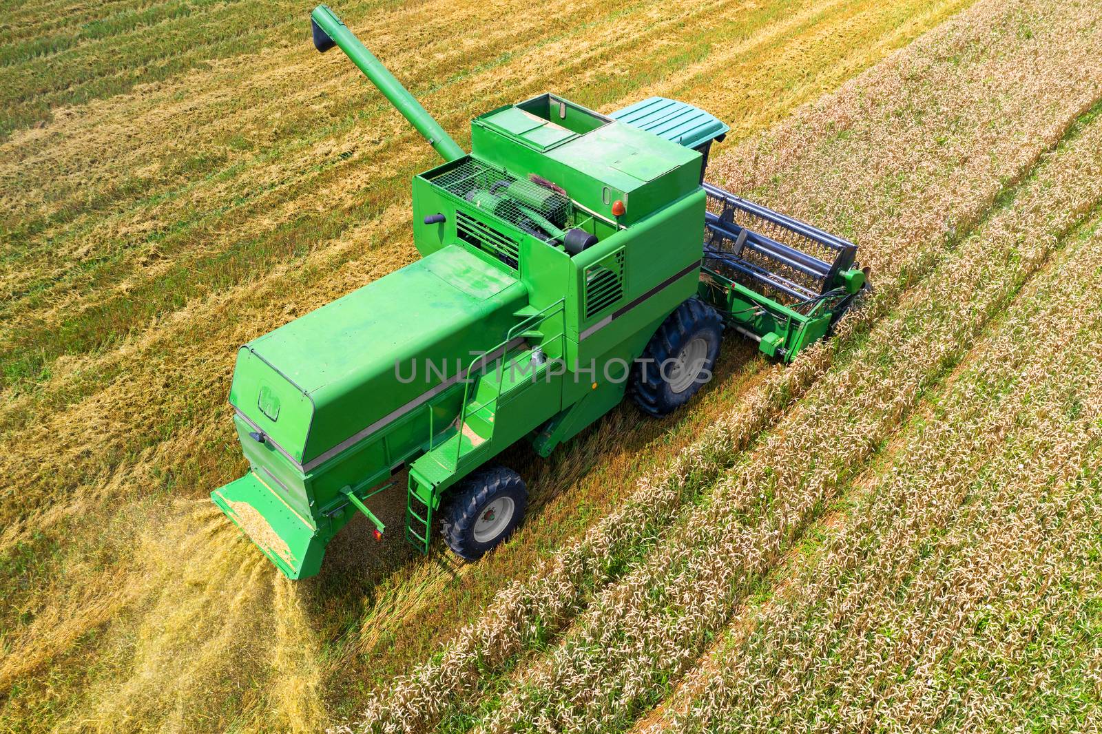 Aerial view on the combine working on the large wheat field