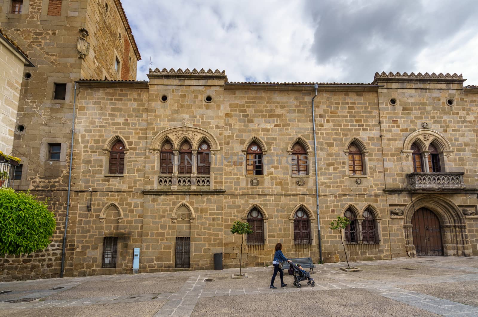 Main facade of the Monroy Palace or Casa de las Dos Torres in the historical center of the city of Plasencia, located in the region of Extremadura, Spain.