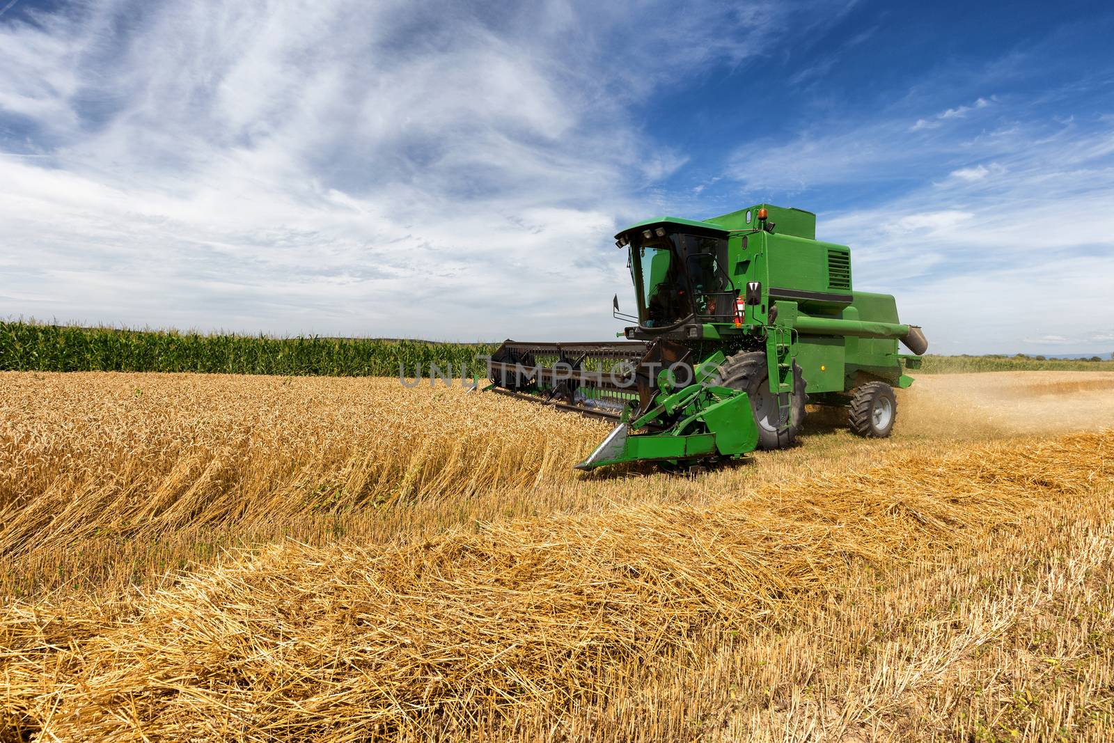 Harvesting wheat harvester on a sunny summer day by necro79