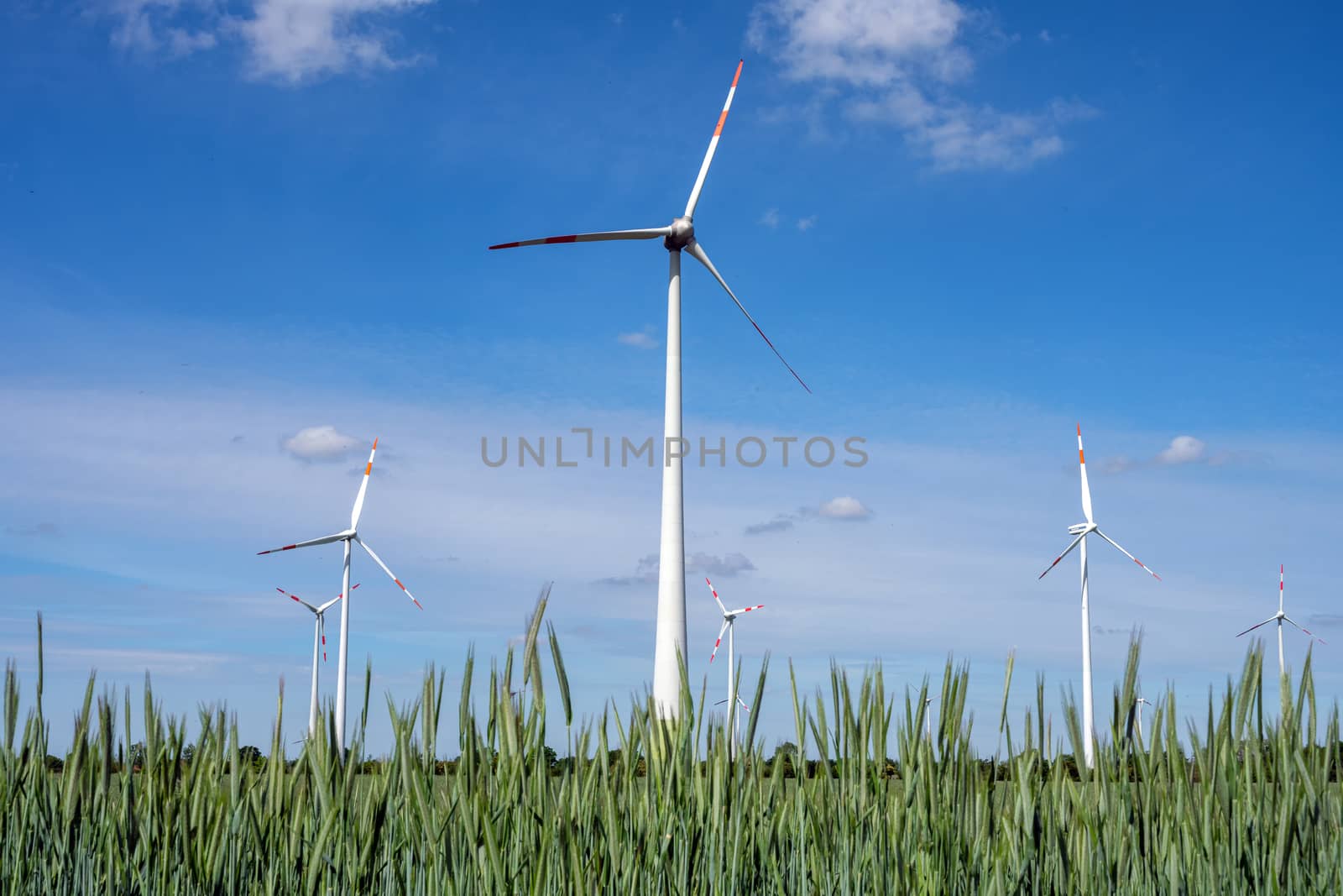 Wind turbines in a cornfield seen in Germany