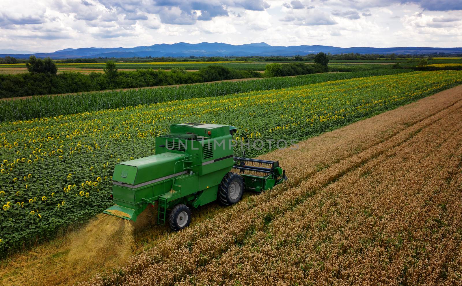 Combine harvester on a wheat field with blue sky, drone aerial v by necro79