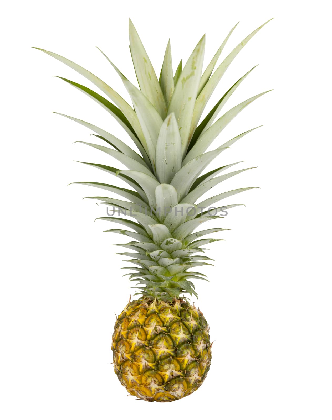 pineapple isolated on white background. Save with clipping path