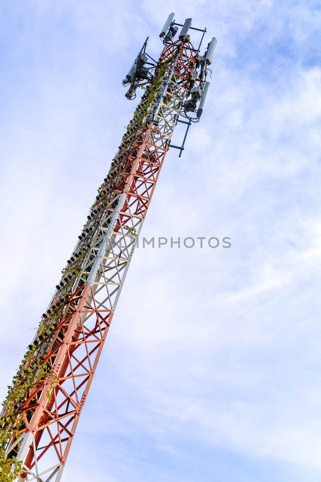 mobile phone communication and network signal repeater antenna t by Satrinekarn