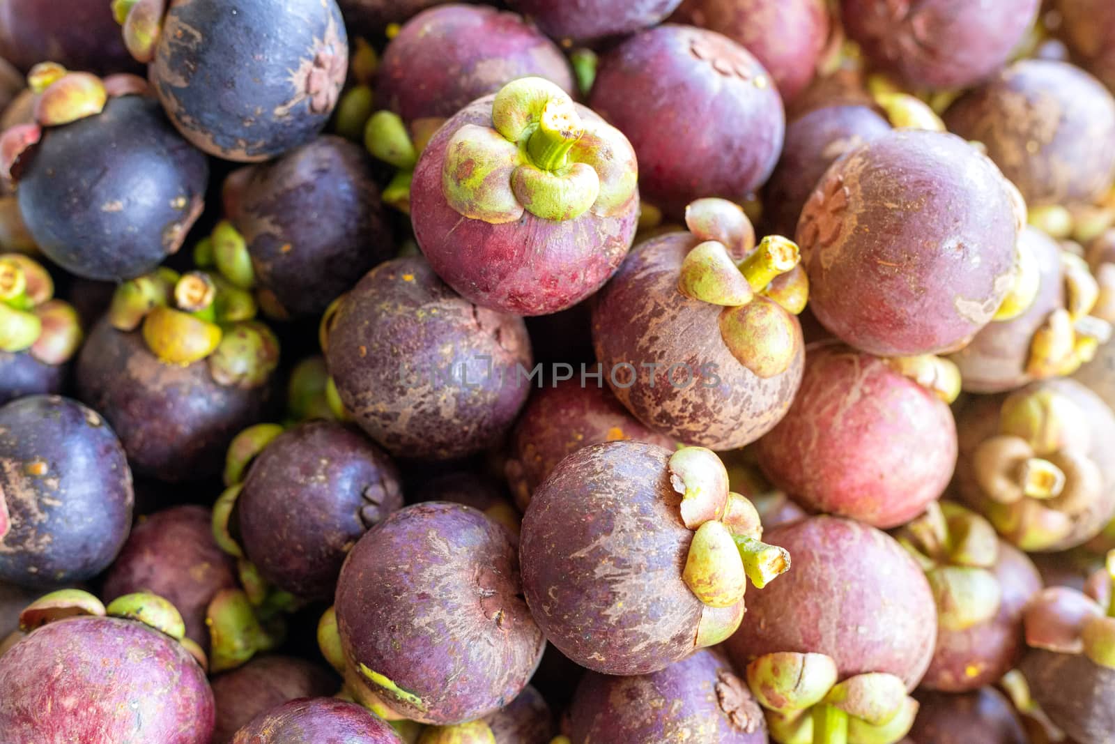Close up queen of fruits group mangosteen background, Mangosteen in a tray. With Sun light effect