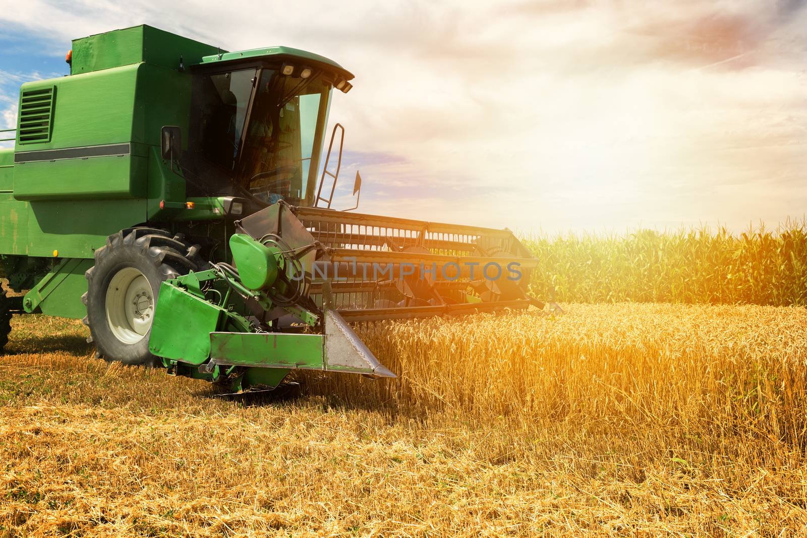 Harvesting wheat harvester on a sunny summer day by necro79