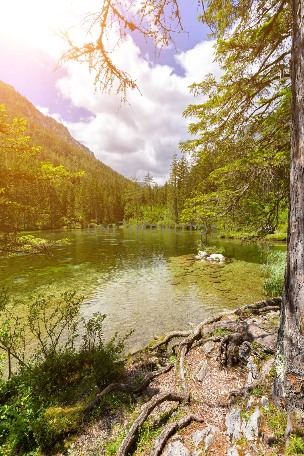 Gruner See - Beautiful green lake with crystal clear water by necro79