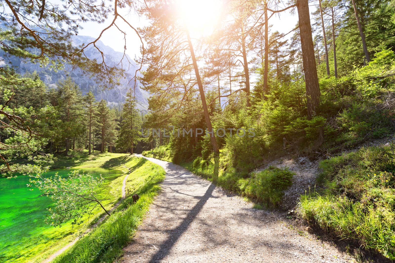 Path close to green lake with crystal clear water