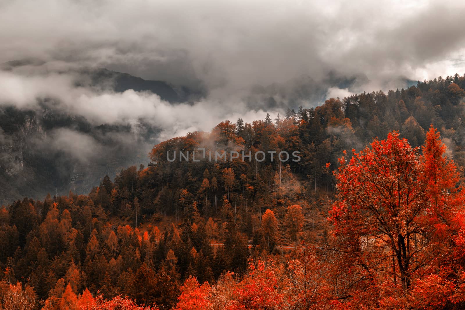 Beautiful view over the hills on an autumn cloudy day at Cadore  by necro79