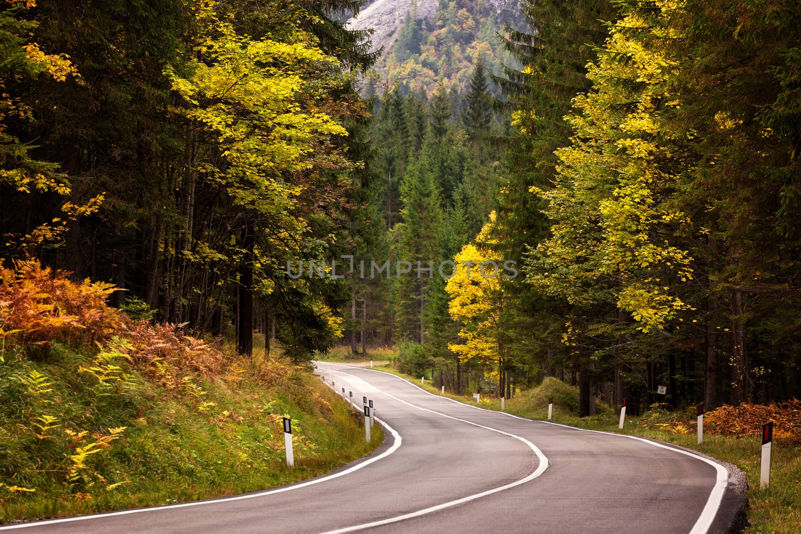 Path to beautiful dolomites with a nice asphalt road and a beautiful autumn morning.