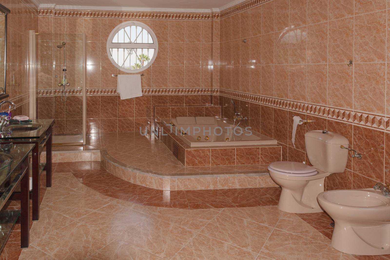 Beautiful bathroom with whirlpool bathtub and separate shower.