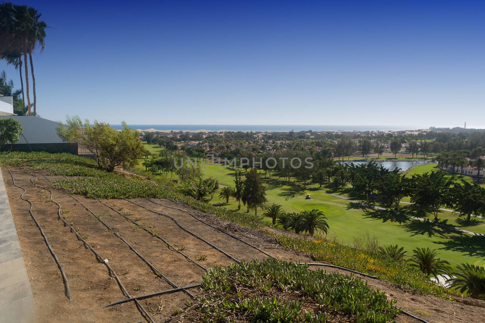 Gran Canaria Meloneras Golf play green grass and palm trees in the Canary Islands.