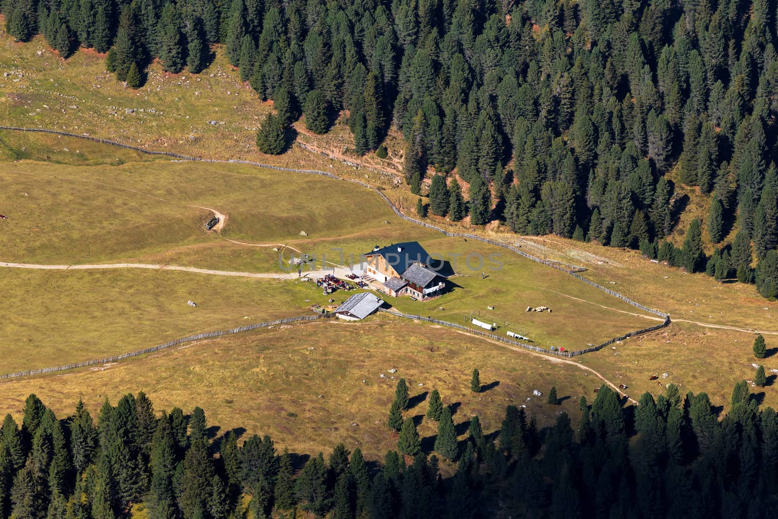 Chalet view from seceda mountain, Italy, Dolomites, Europe