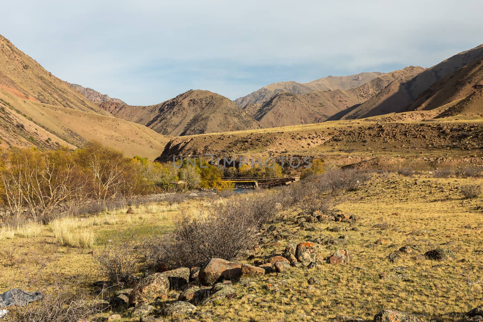 A gorge in the mountains with a river. Kokemeren river in Jumgal District of Naryn Province of Kyrgyzstan. Stones and bushes on the river bank.