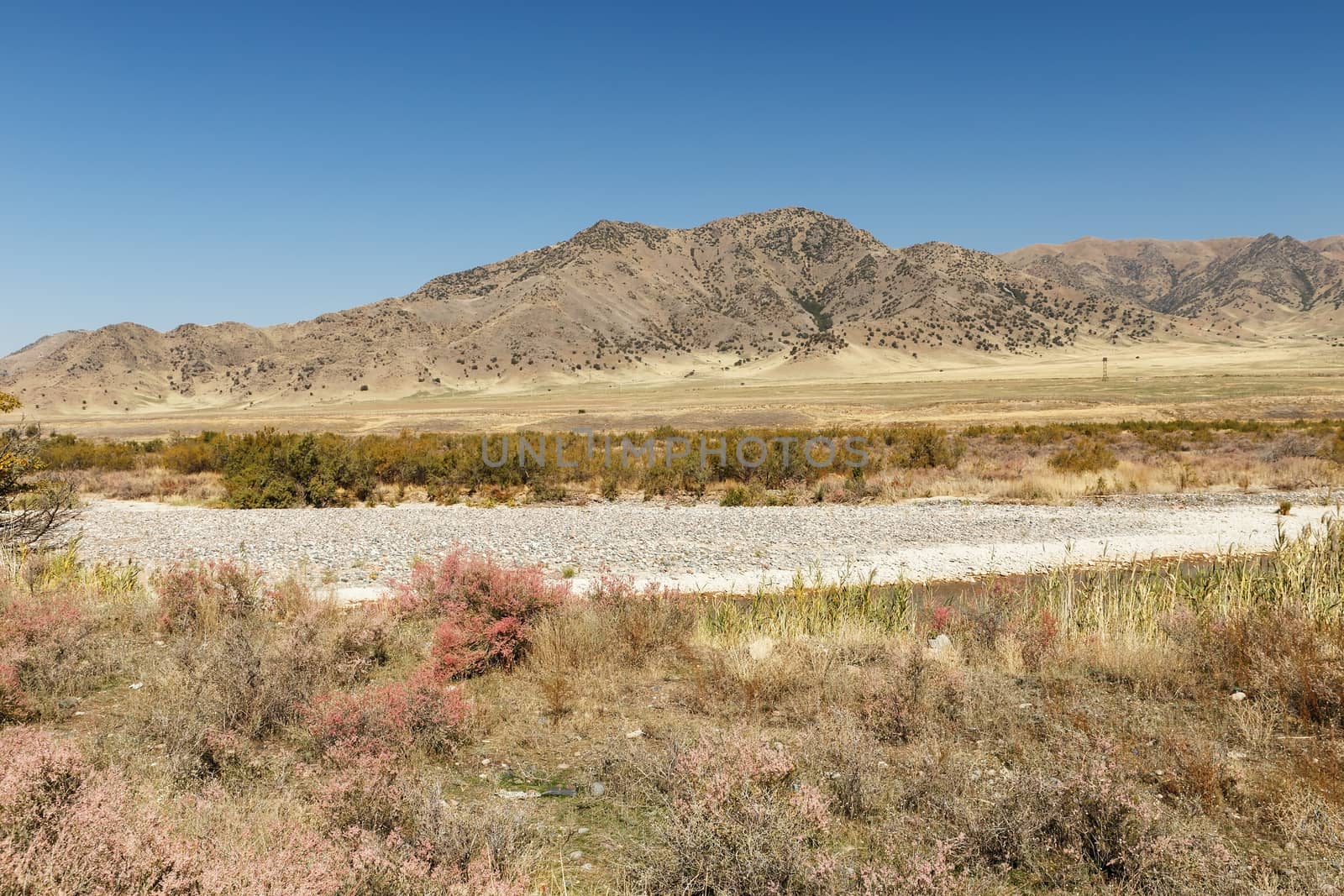 border between Kazakhstan and Kyrgyzstan by Mieszko9