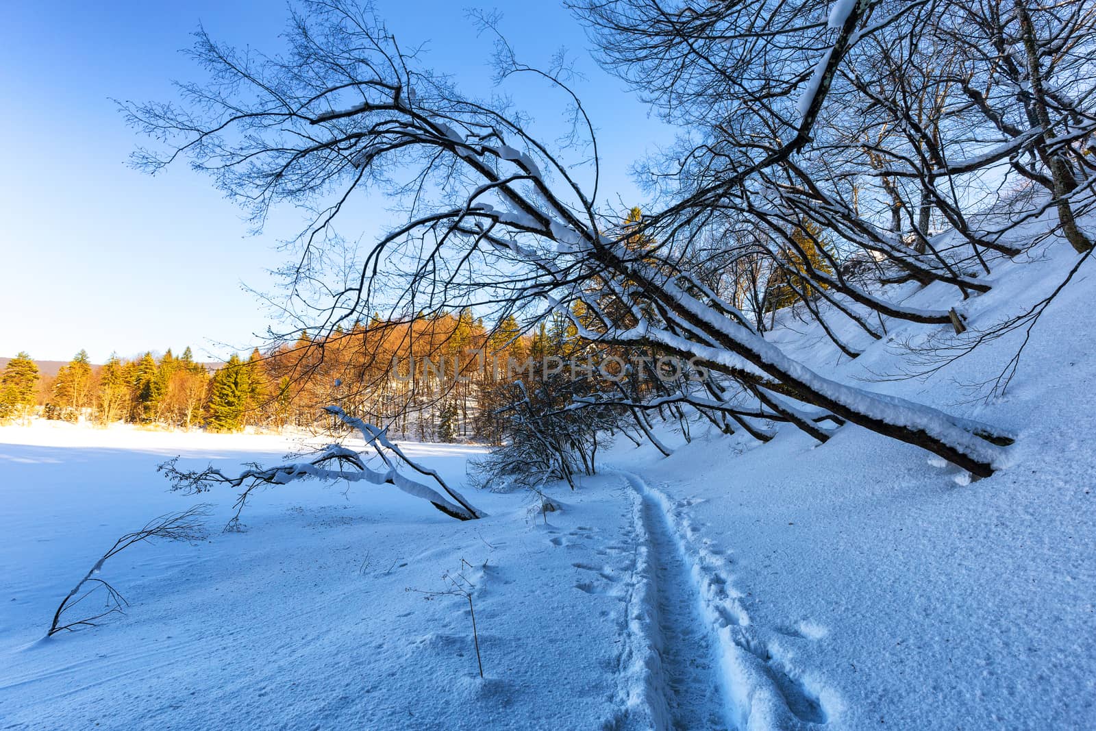 Plitvice lakes during winter, Croatia, Europe by necro79