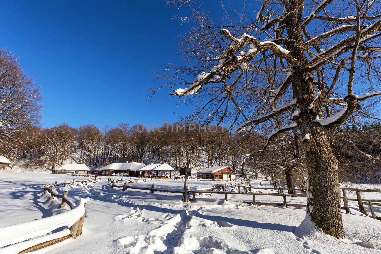 Plitvice lakes during winter, Croatia, Europe by necro79