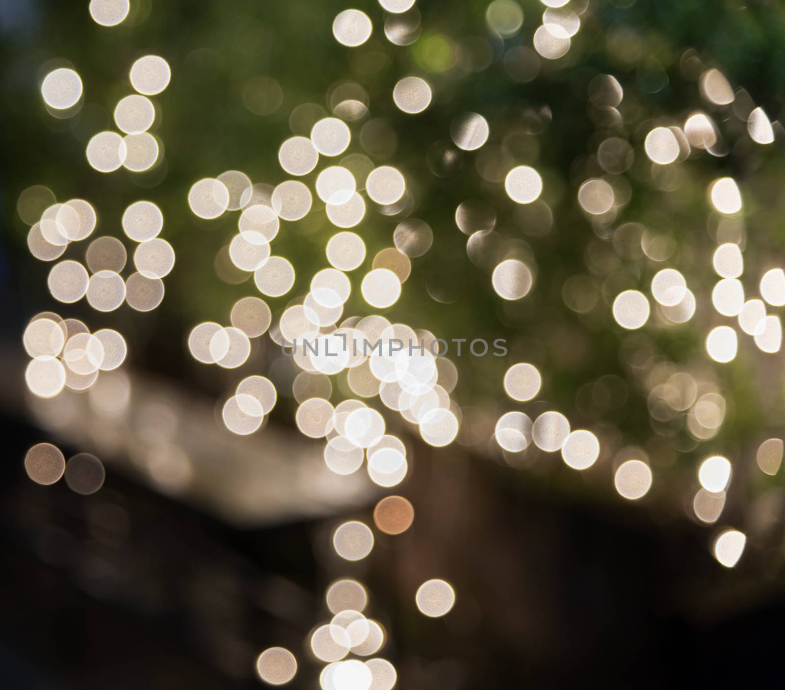 Green and light Bokea