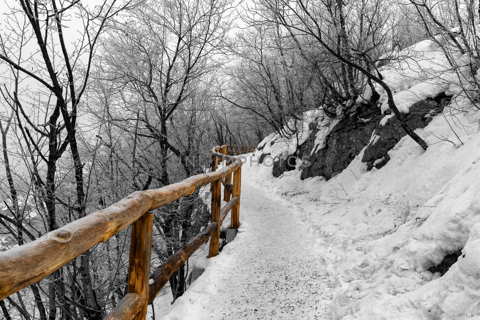 Winter path covered by snow thru plitvice lake, Croatia by necro79