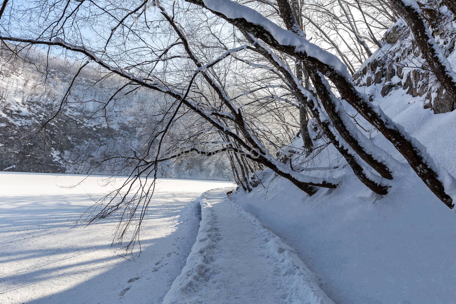 Winter path covered by snow thru plitvice lake, Croatia by necro79