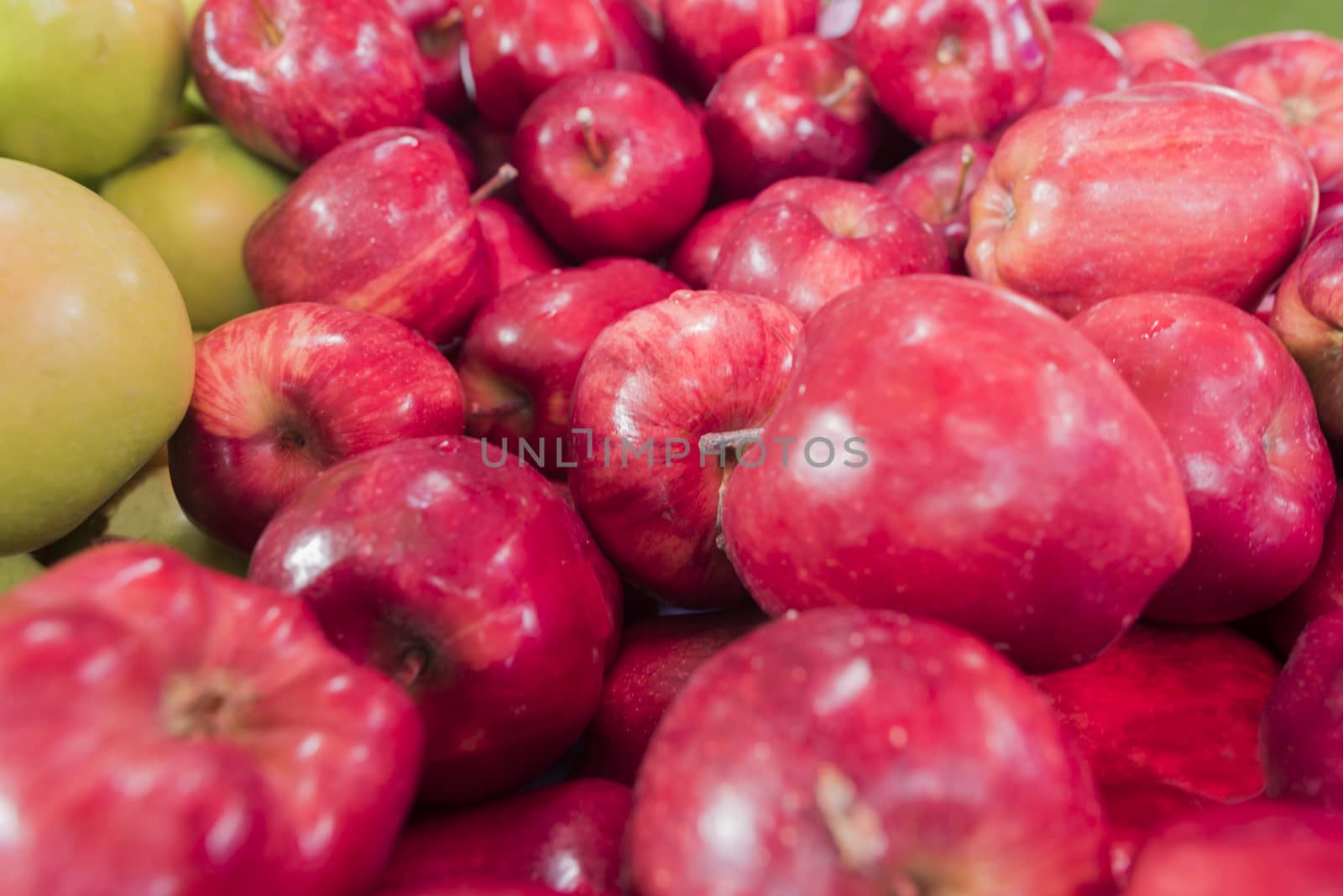Close up fresh red apple at market