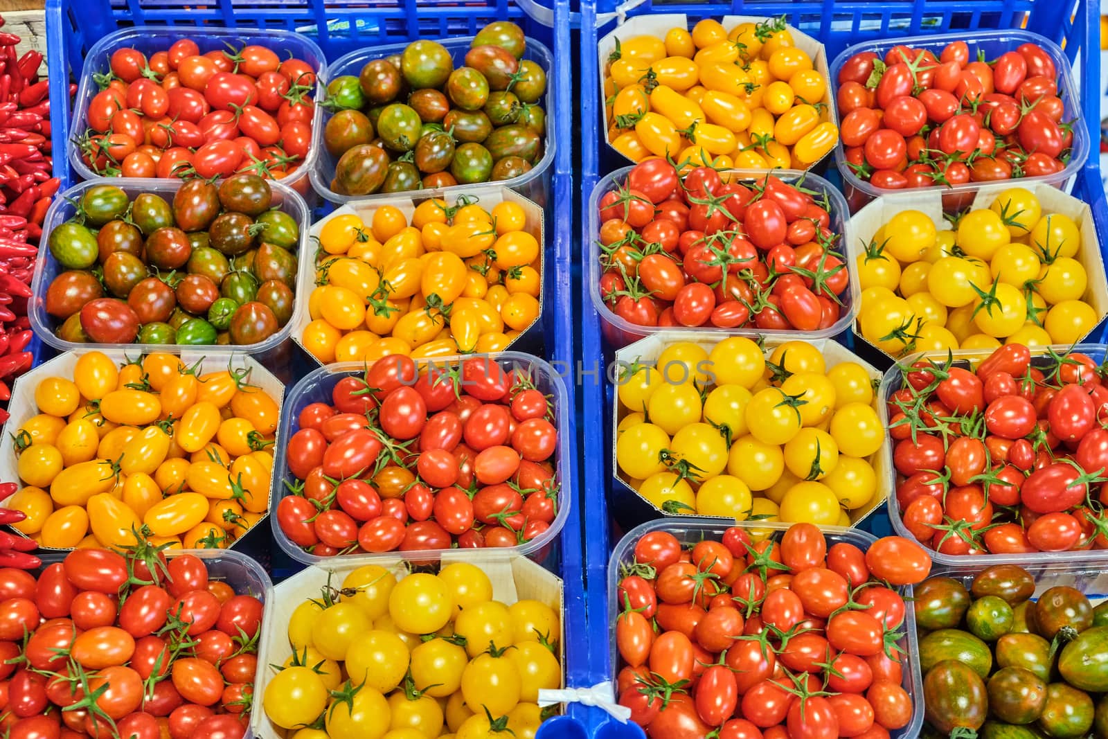 Cherry tomatoes in different colors by elxeneize