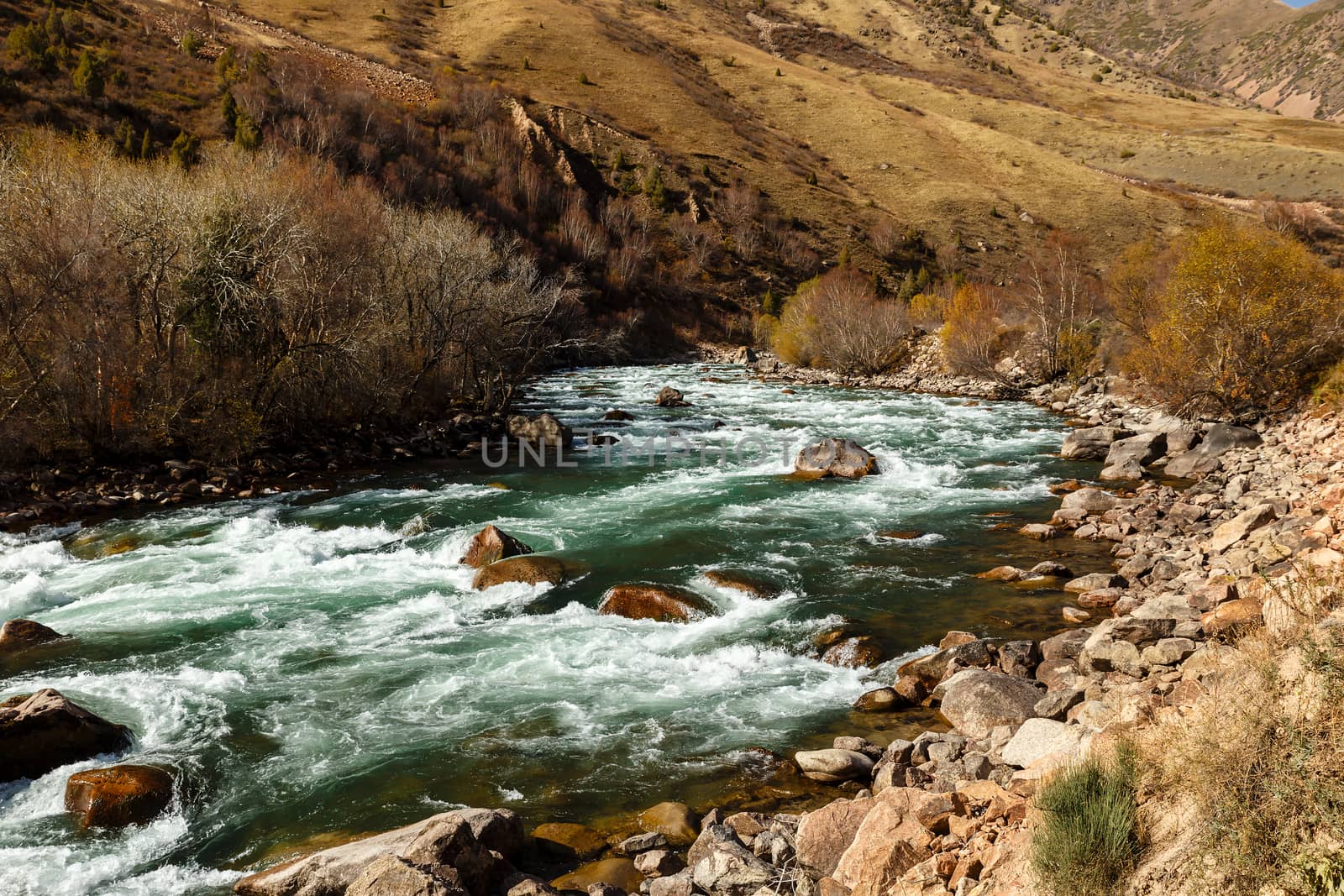 fast mountain river, autumn landscape, Kokemeren river, Kojomkul, Jumgal District Kyrgyzstan