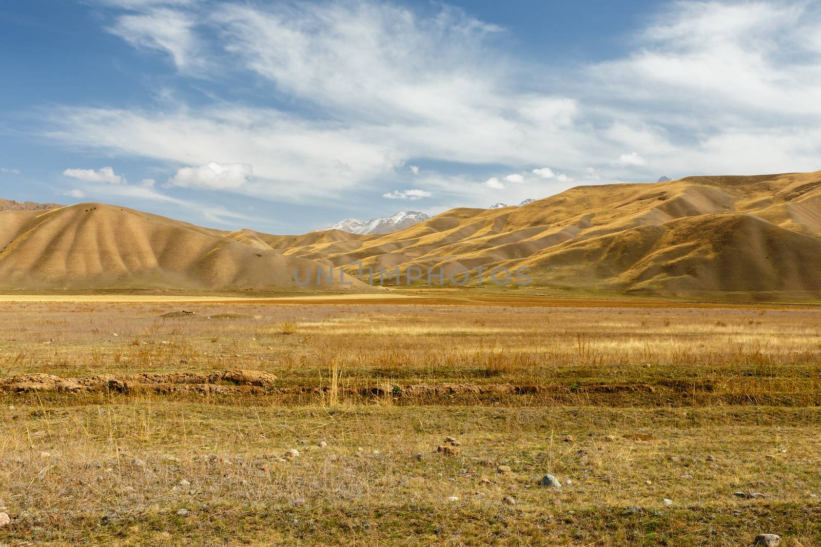 Suusamyr Valley, Mountain landscape. Kyrgyzstan. by Mieszko9