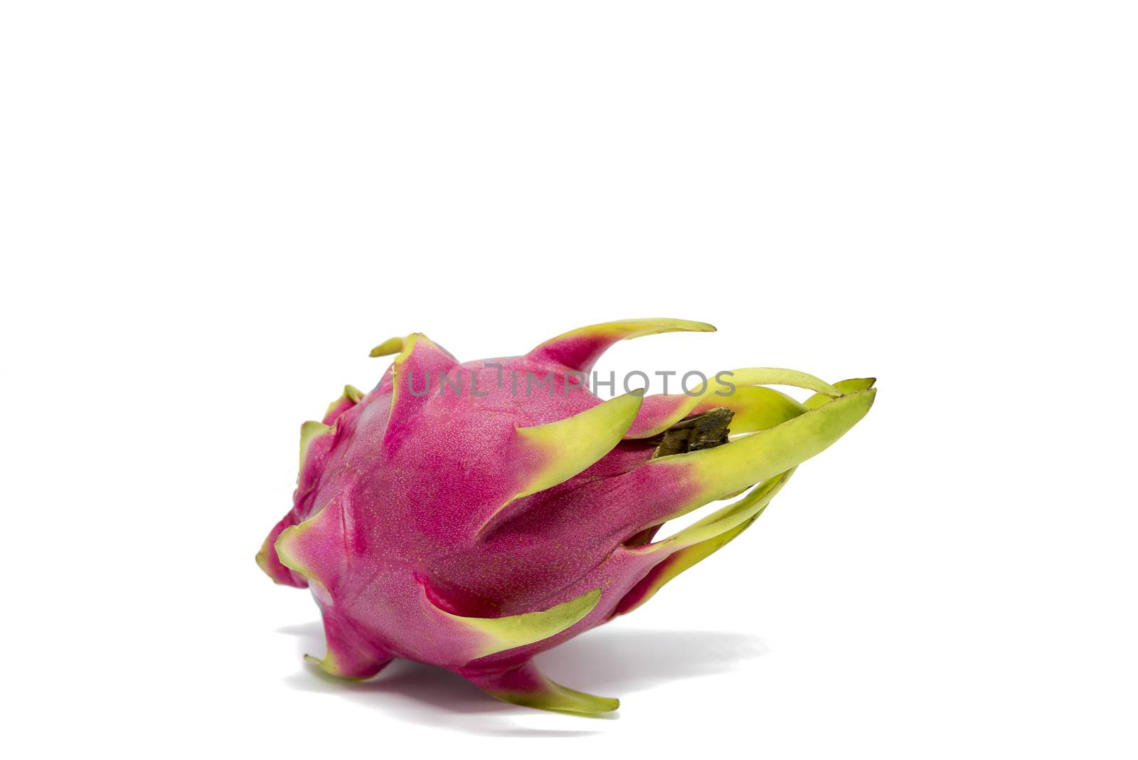 Dragon fruit isolated on white background with clipping path