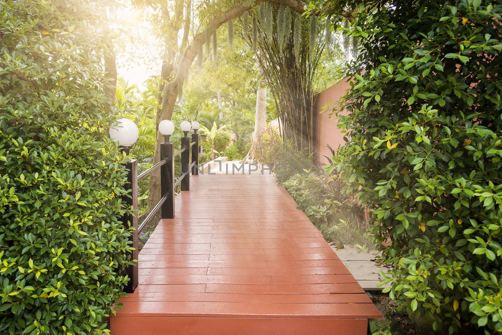 Wood brige in green park with ray of light
